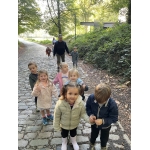 Naar het bos