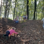 Naar het bos