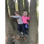 Naar het bos
