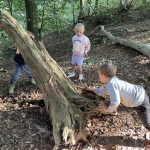 Naar het bos