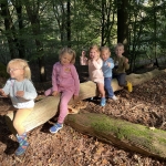 Naar het bos