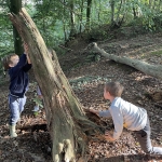 Naar het bos