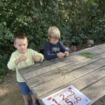 Integratie 3de kleuter - 1ste leerjaar