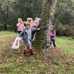 Naar de Palingbeek