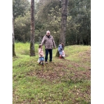 Naar de Palingbeek