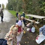 Naar de Palingbeek