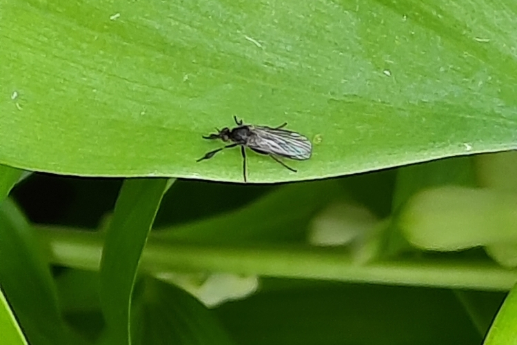 Op stap naar Filip en Marleen