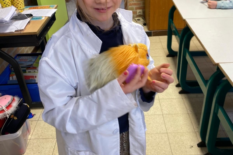 thema: talenten en beroepen