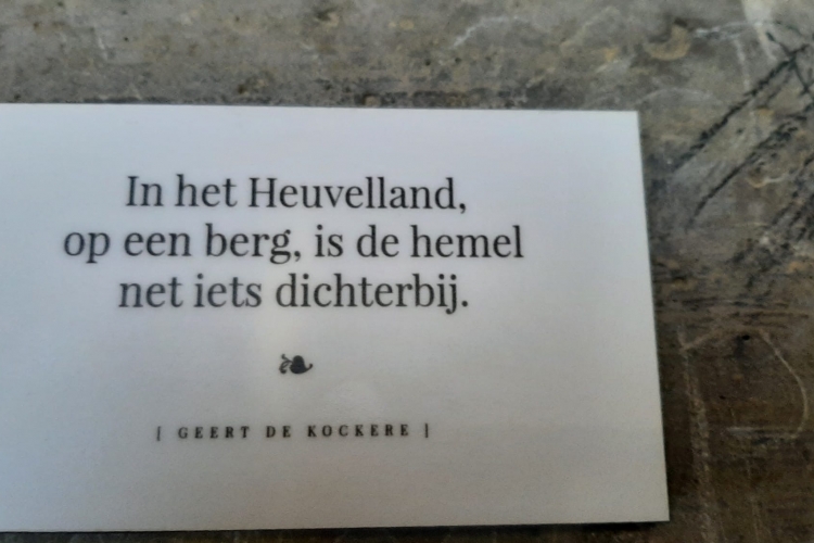 Naar het bos